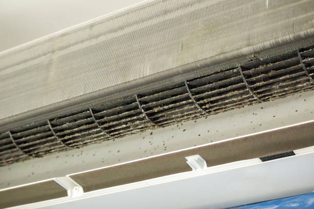 Best HVAC System Cleaning  in Tyrone, GA